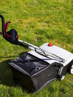 An aerator machine at the backyard lawn, Should You Aerate Before Overseeding A Lawn?