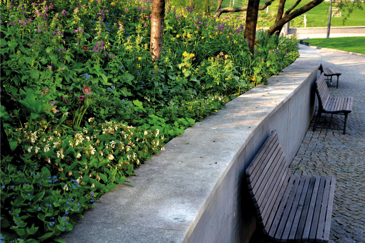 Bench at a retaining wall in a park of black bushes early spring perennials on a high flowerbed. How To Build A Retaining Wall In Sandy Soil
