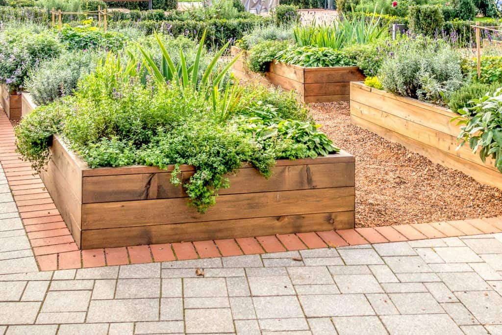 Box gardens with herbs and spices and other vegetables