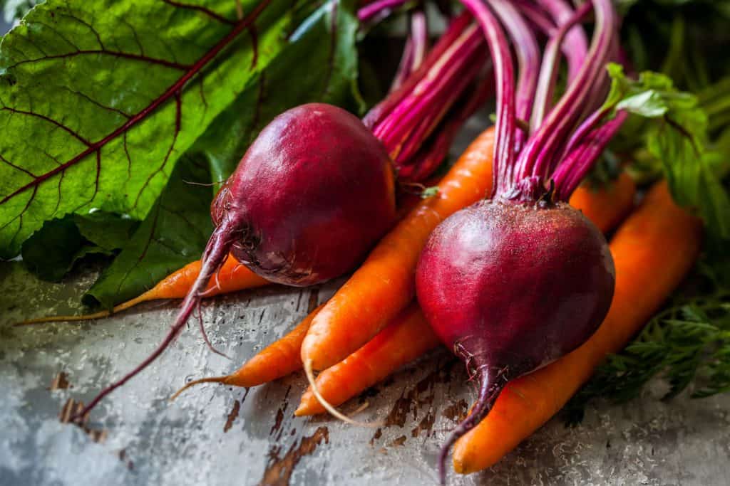Freshly harvested beetroots and carrots photographed up close