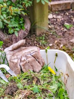 Garden weeds in a plastic tub with gardening glove and fork in a rural garden, How To Keep Weeds Out Of Your Garden