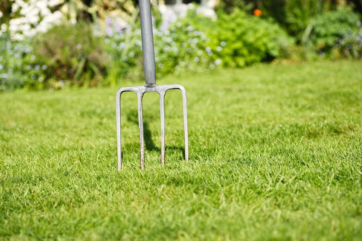 Can You Aerate Your Lawn In The Spring? Should You? - GardenTabs.com