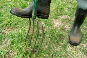 Read more about the article Can You Aerate Your Lawn In The Spring? Should You?