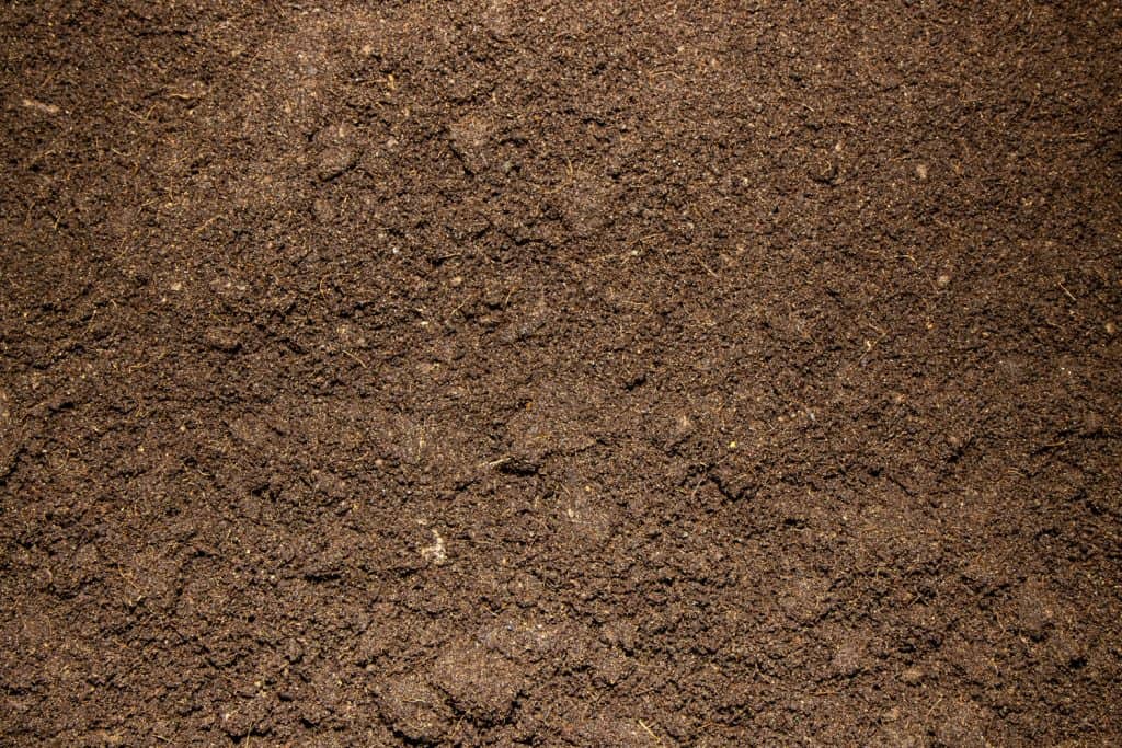 Sandy soil texture photographed up close