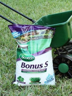 This image shows a bag of Scotts Southern Weed and Feed leaning against a Scotts Spreader. Weed and Feed is a combination lawn fertilizer and weed control product, Does Lawn Fertilizer Go Bad Or Expire?
