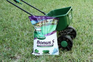 Read more about the article Does Lawn Fertilizer Go Bad Or Expire?