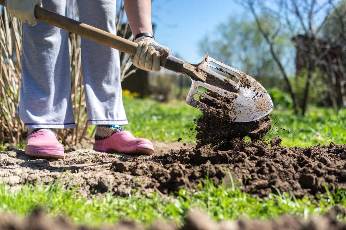 Woman digging in garden