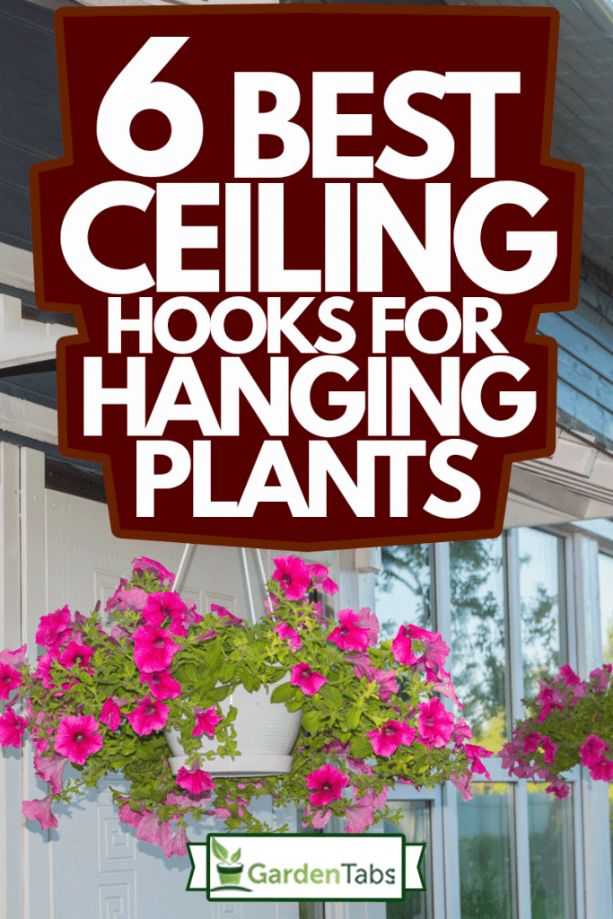 planters with flowers at the entrance to the house, 6 Best Ceiling Hooks For Hanging Plants