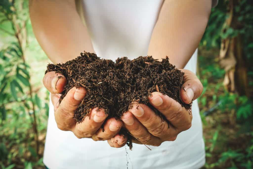 Farmer holding pile of arable soil