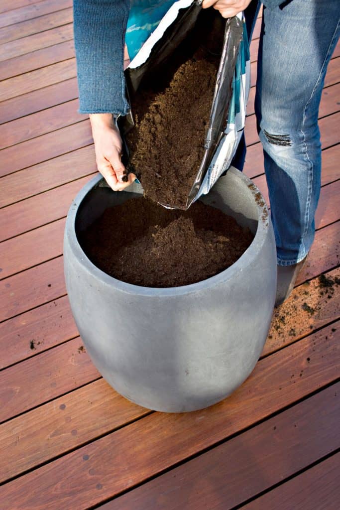 Pouring plant fertilizer onto another pot