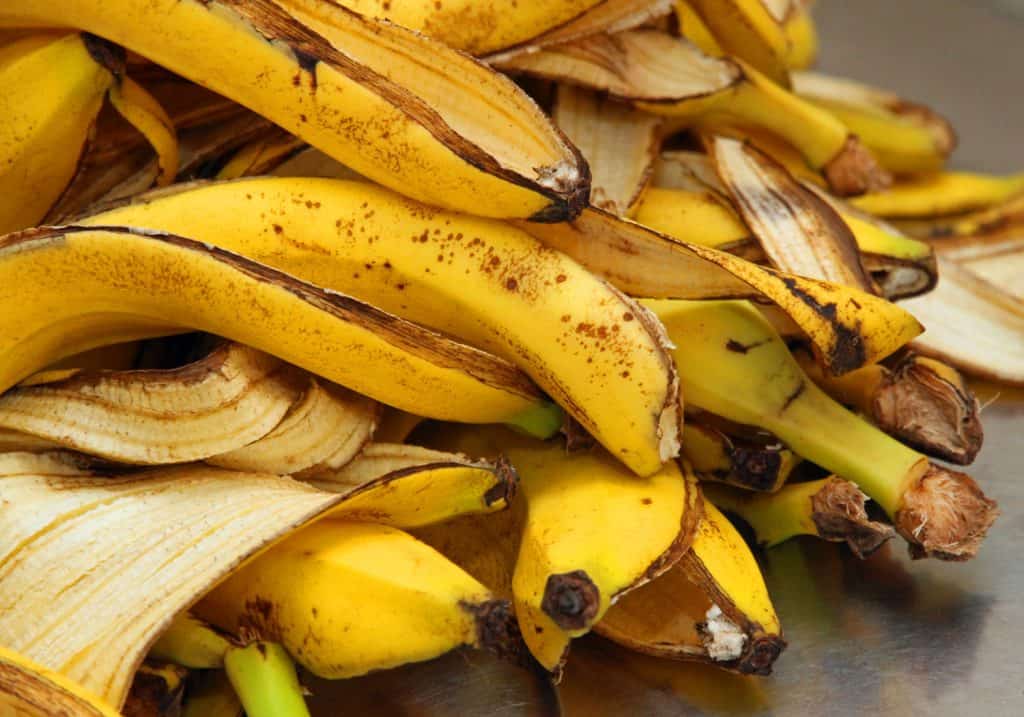 many yellow banana peels just Peel to store organic waste