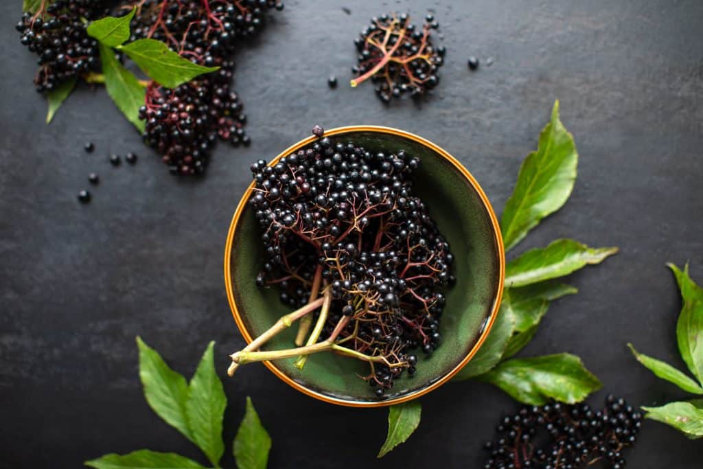 A bowl filled with elderberries and leaves on the table
