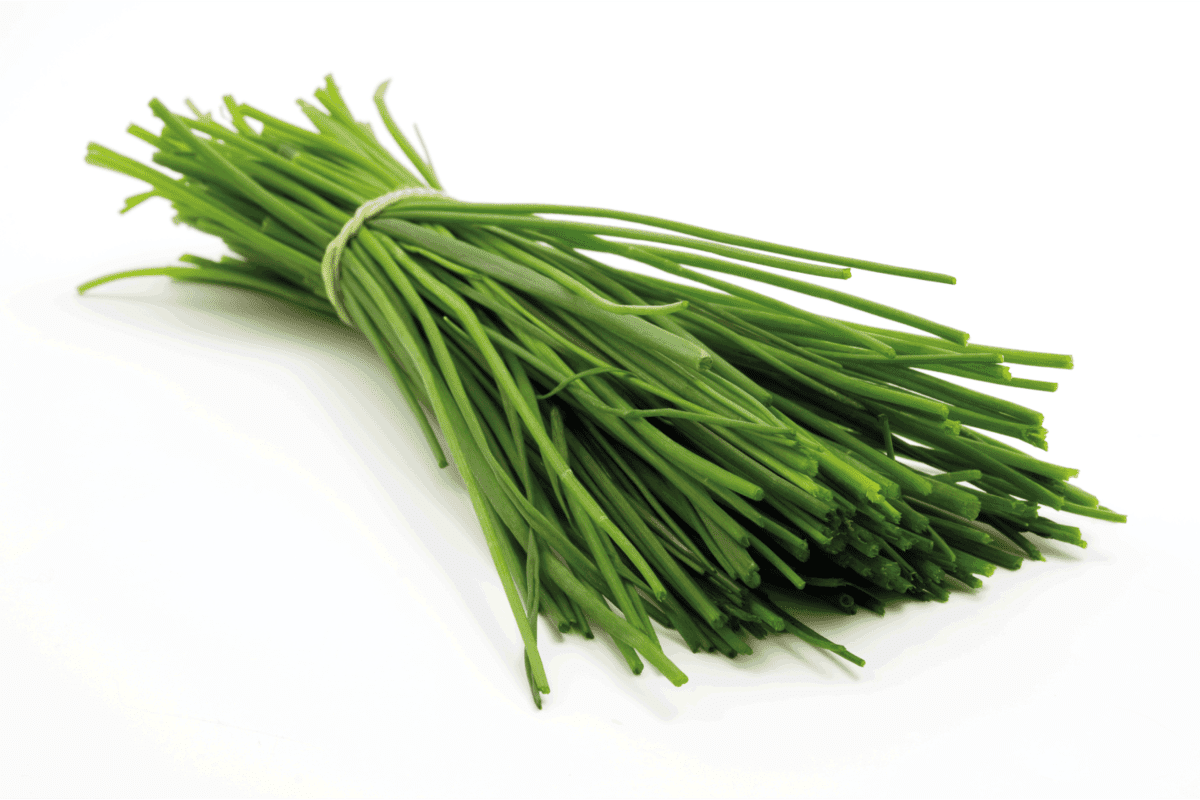 Bunch of chives on a white background