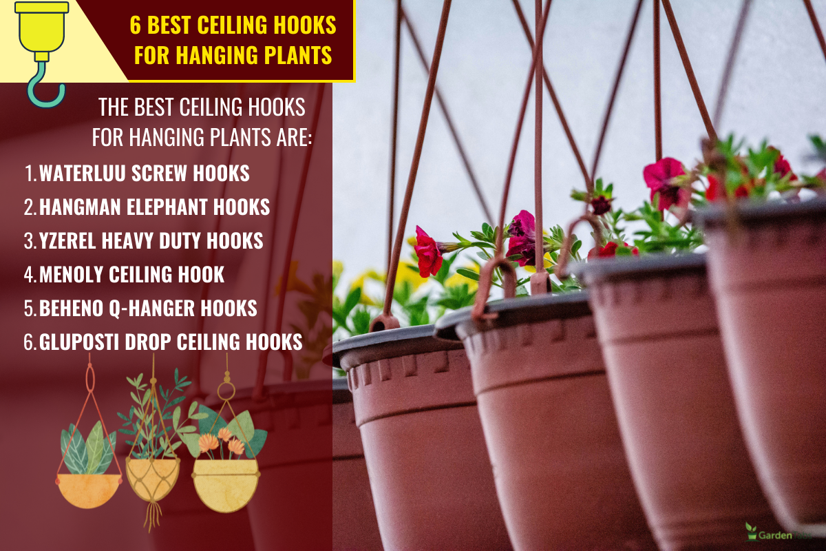 Multiple flowerpots background of blooming petunia surfinia in greenhouse in hanging pot. - 6 Best Ceiling Hooks For Hanging Plants