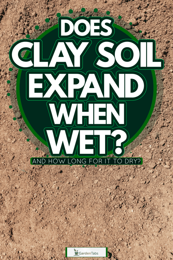 Top view of healthy clay soil, Does Clay Soil Expand When Wet? [And How Long For It To Dry?]