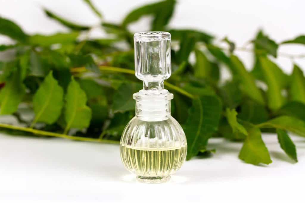 Neem oil in bottle and neem leaf isolate on white background.