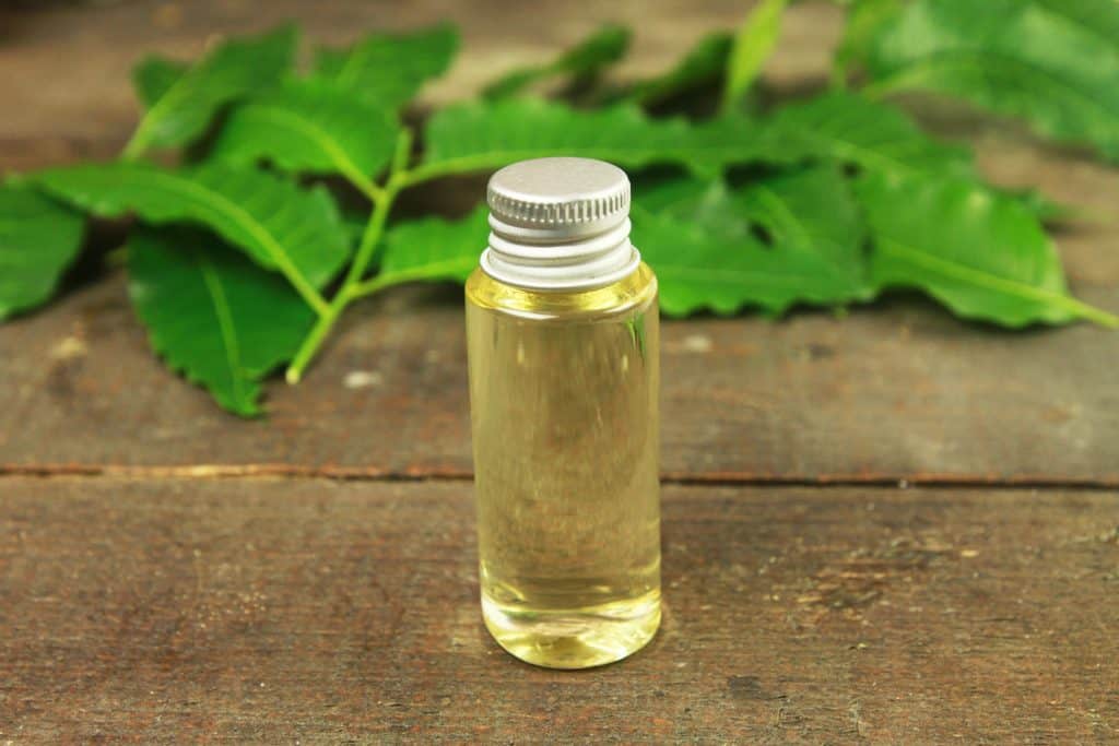 Neem oil in bottle and neem leaf on wooden background.