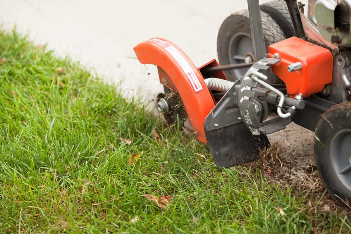 A commercial lawn edger machine is cutting grass next to a concrete sidewalk