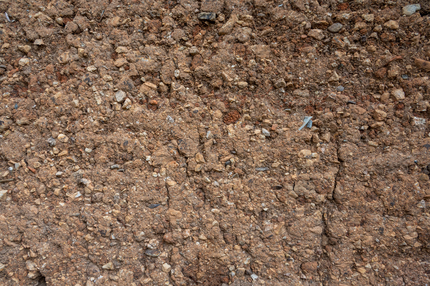 Clay soil with lots of rocks
