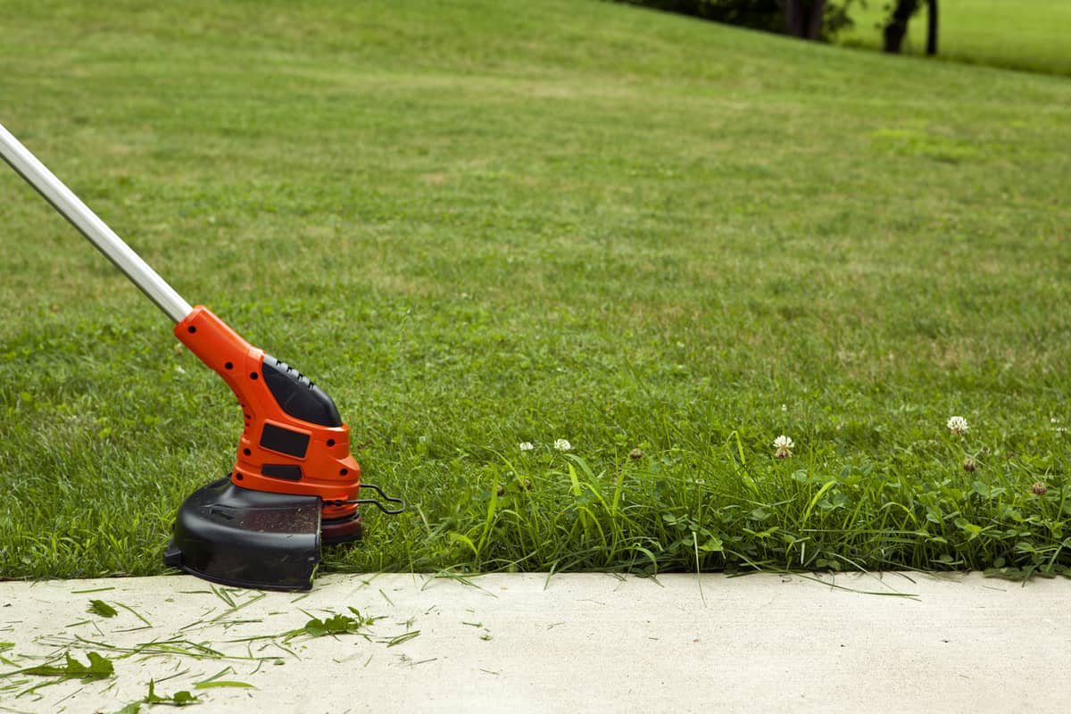 Close-up of a string trimmer cutting the grass along a concrete sidewalk.