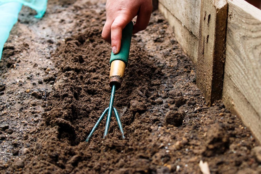 Gardener leveling dirt with a gardening fork