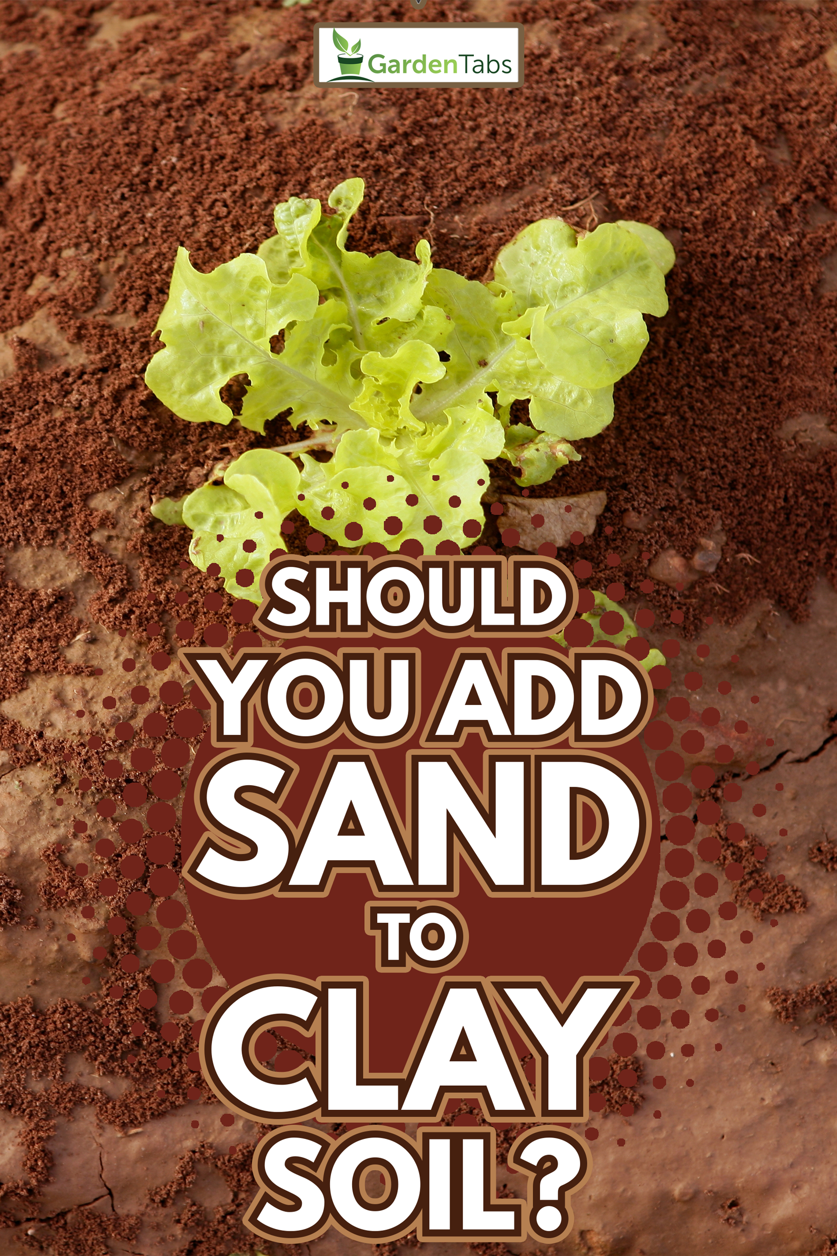 Should You Add Sand To Clay Soil?