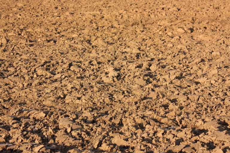 Newly plowed clay soil at a huge farm, How Long Does Clay Soil Take To Dry?