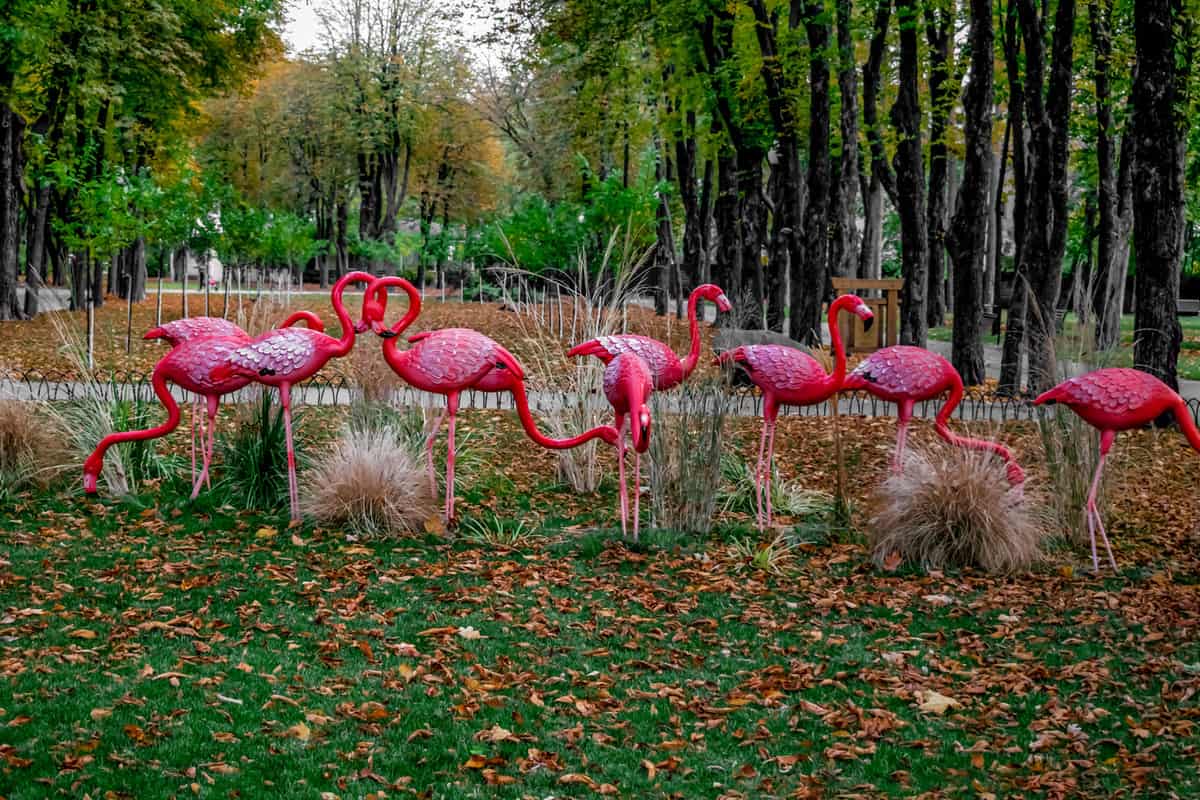Sculptures of pink flamingos on the lawn