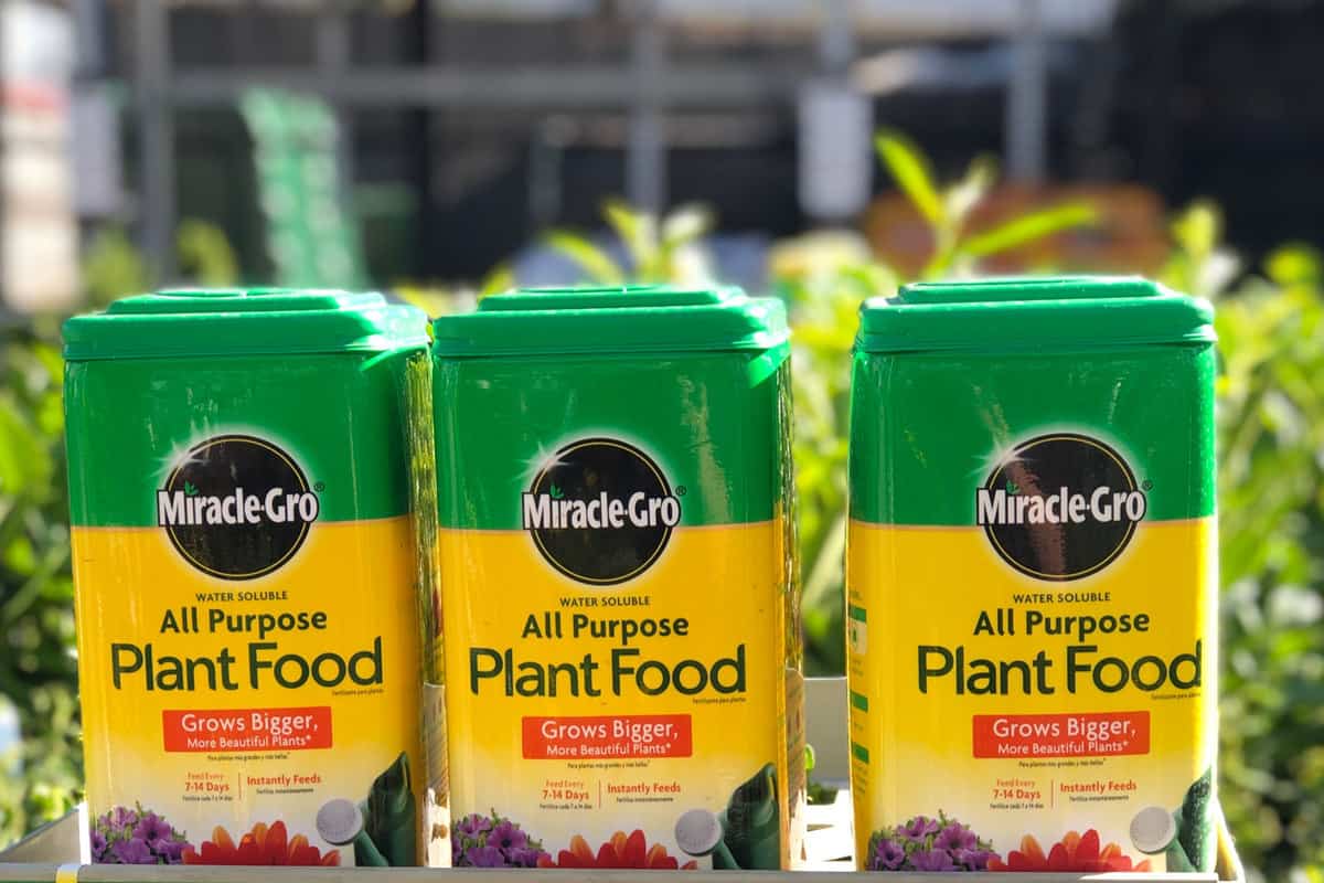 Three containers of Miracle Gro plant food