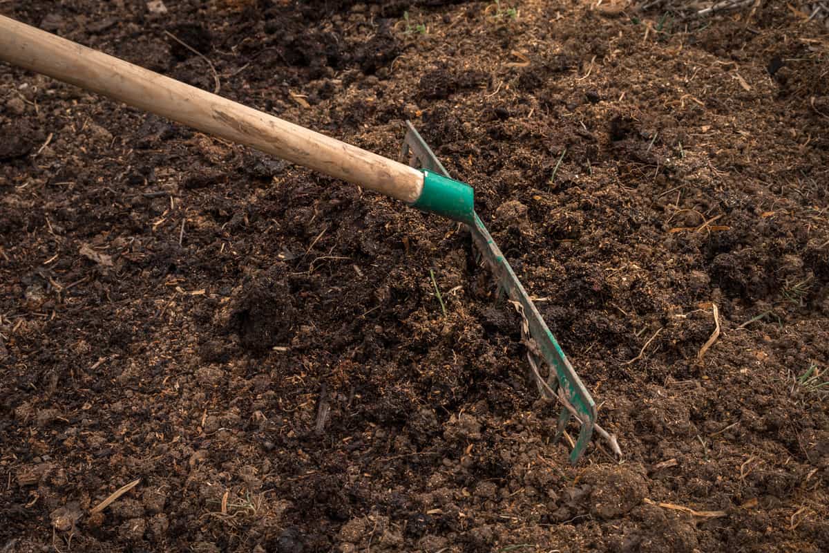 Worker with green rake preparing soil for planting - gardening concept