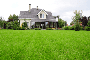 A gorgeous modern two story house with unmowed lawn at the backyard, When To Remove Netting From New Grass