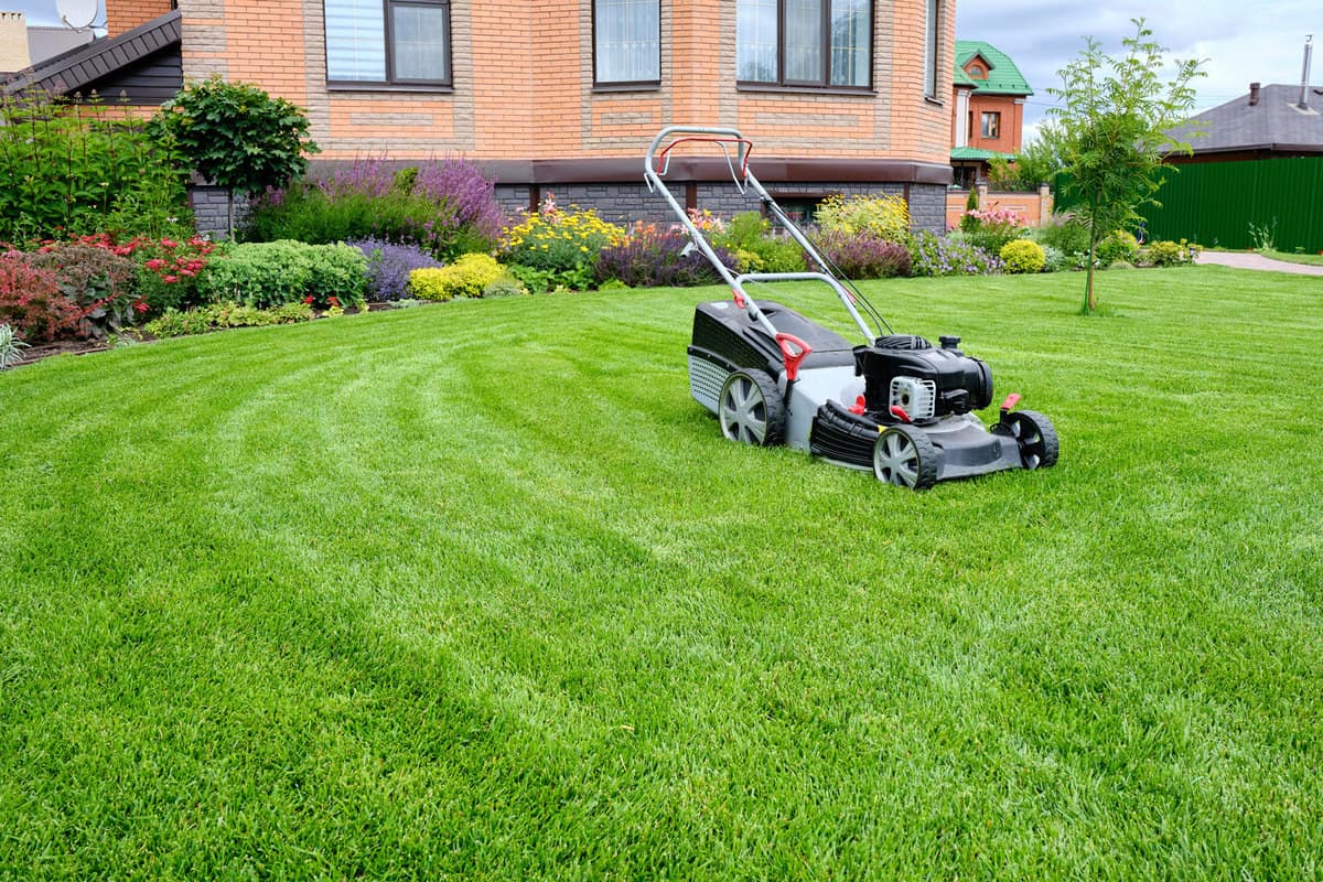 A lawn mower used for trimming the lawn on the backyard