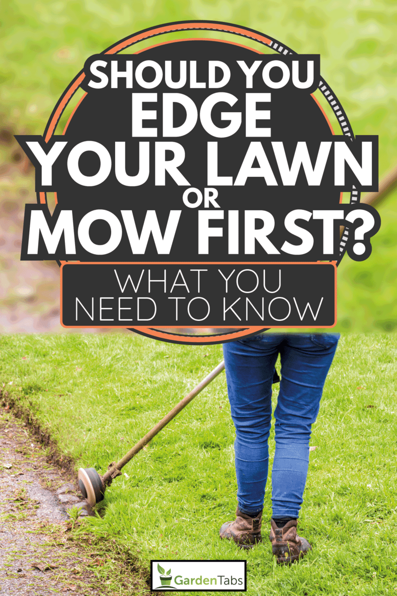A woman is using a string trimmer to edge the lawn along the driveway. Should You Edge Your Lawn Or Mow First [What You Need To Know]