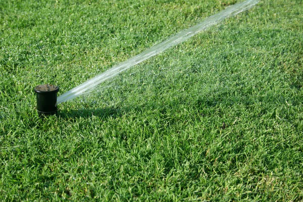 Closeup of sprinkler head watering football field.