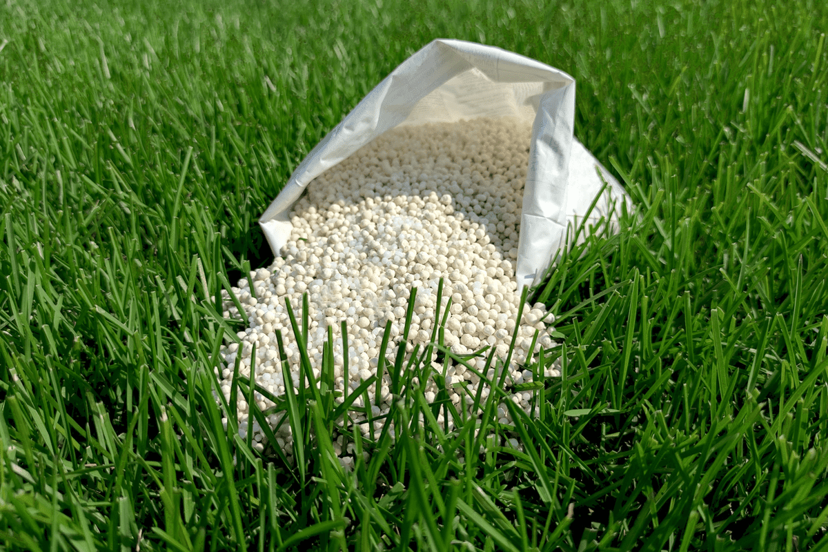 Fertilizer spread on the garden