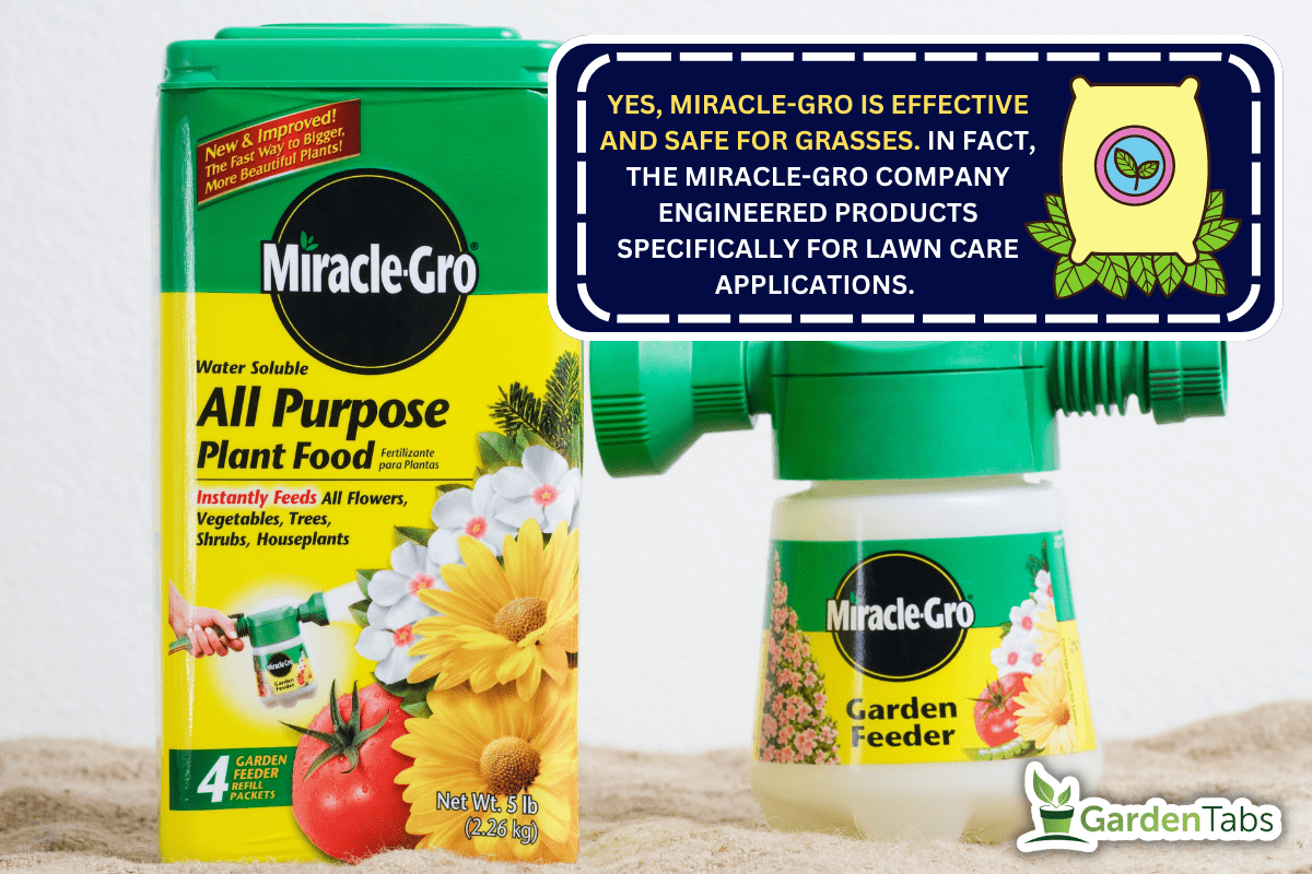 - Gro All Purpose Plant Food, which contains four Garden Feeder Refill Packets, along with the Miracle - Can You Use Miracle-Gro On Grass?