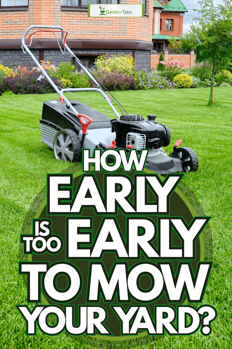 A lawn mower used for trimming the lawn on the backyard, How Early Is Too Early To Mow Your Yard?