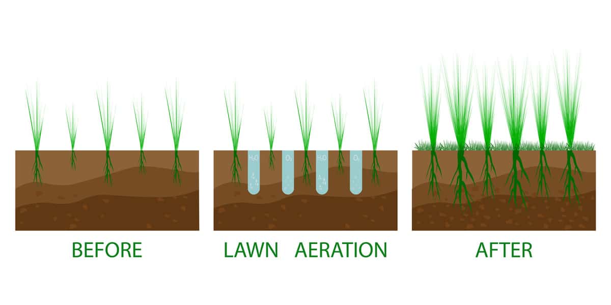 Lawn aeration process steps