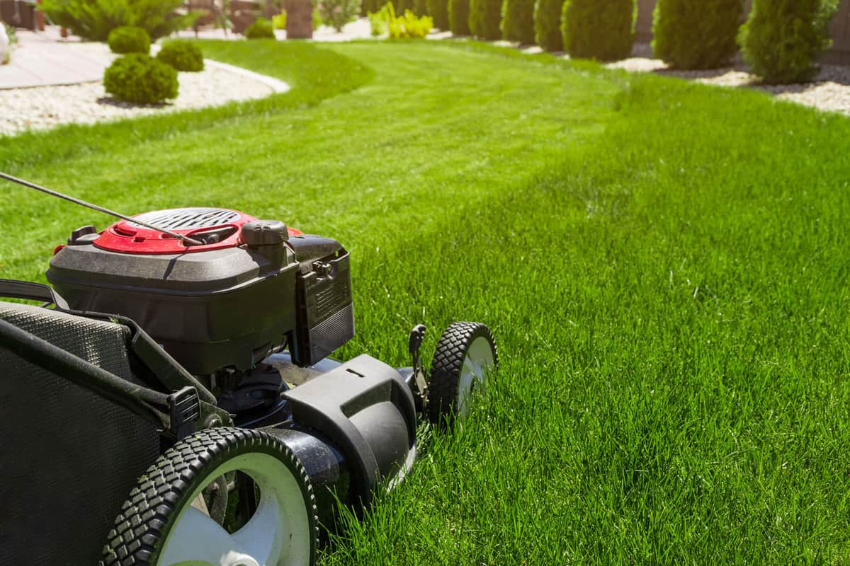 Mowing the lawn of a large luxurious acre of property