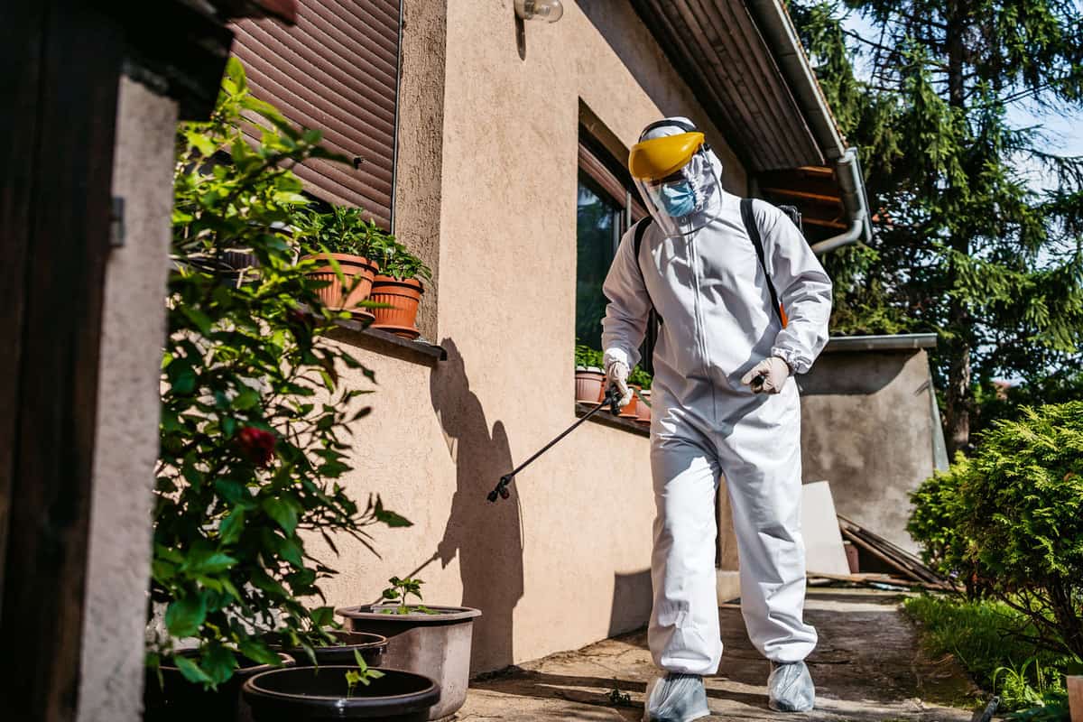 Properly suited specialist spraying pesticides on the plants and flowers