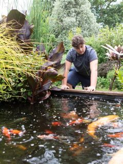 A teenage boy standing by the side of a garden pond and looking at the fish, How Many Koi In A 1,000 Gallon Pond?