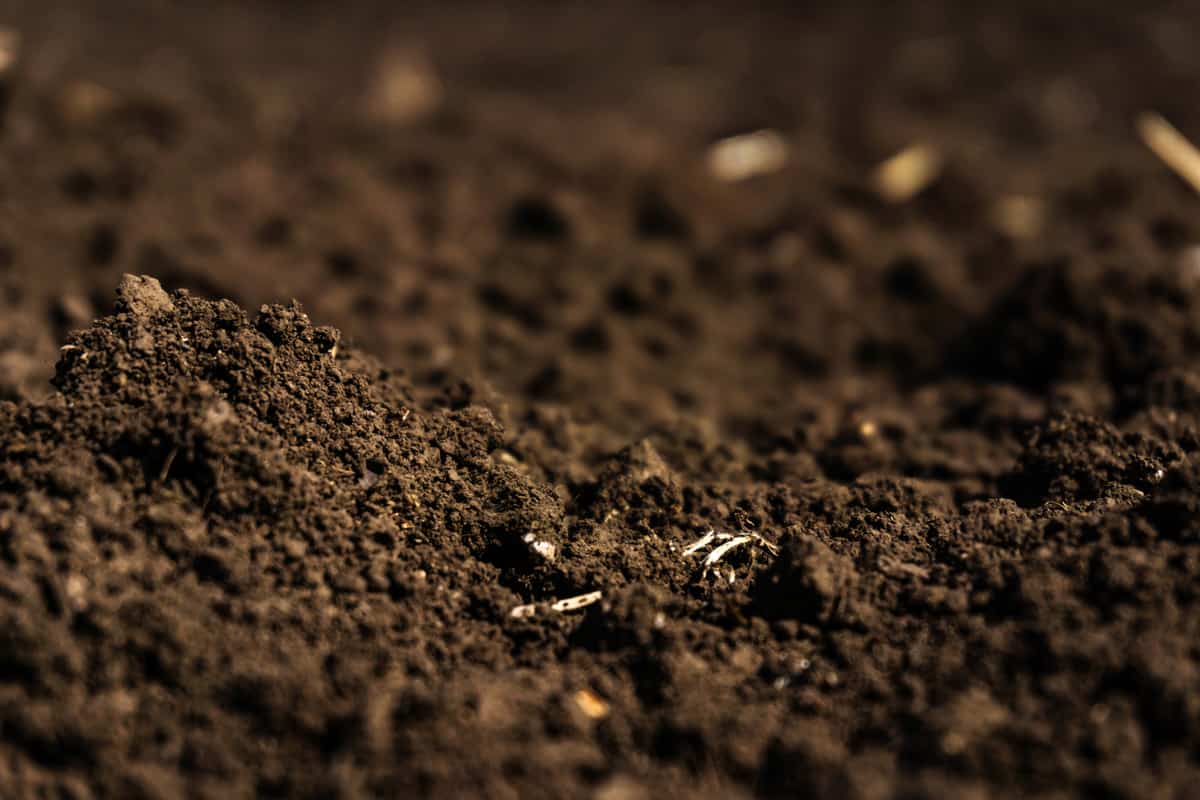 a plowed field, fertile, black soil
