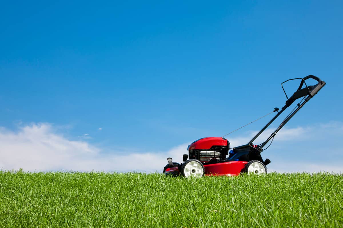 A lawn mower used for the garden