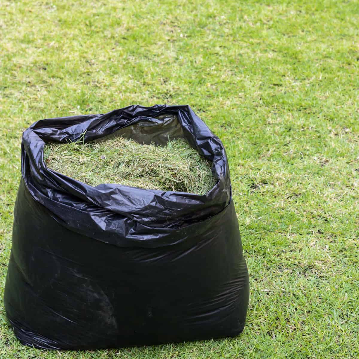 A trash bag filled with grass clippings