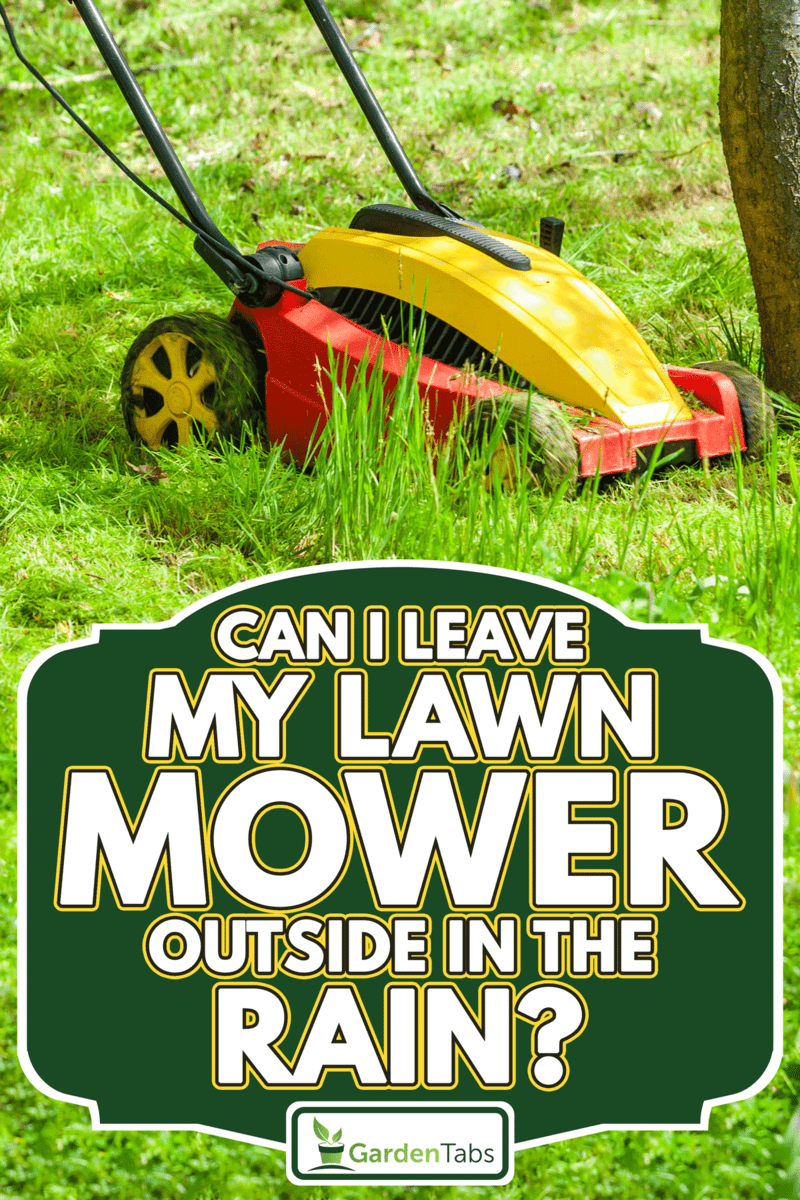 Mowing the lawn in a green meadow, Can I Leave My Lawn Mower Outside In The Rain?