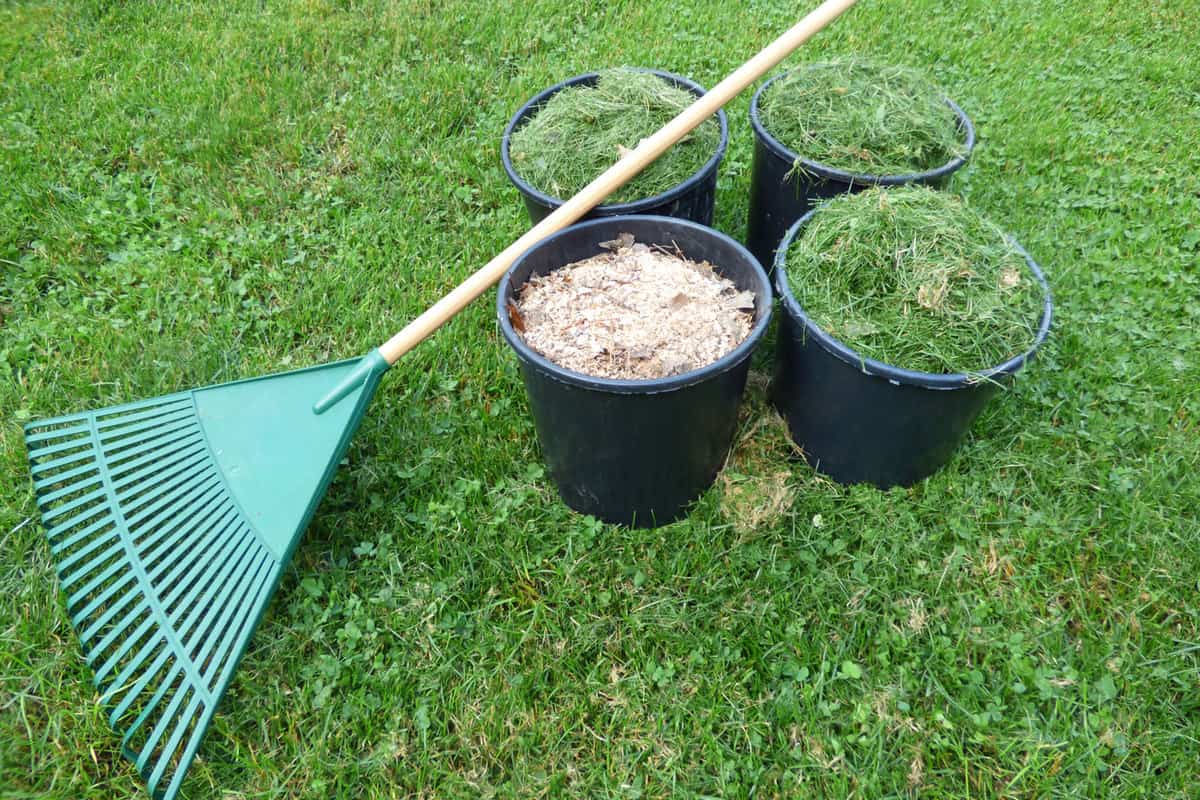 Four buckets filled with grass clippings