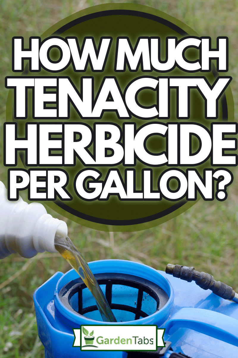 pouring herbicide water from bottle into tank sprayer, How Much Tenacity Herbicide Per Gallon?