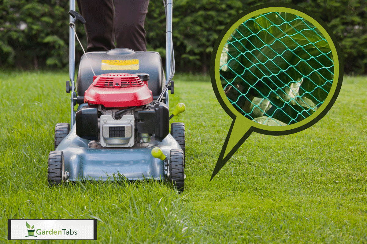 lawn mower cutting grass in the field, Can You Mow Over Lawn Netting? [And What Kind To Use]