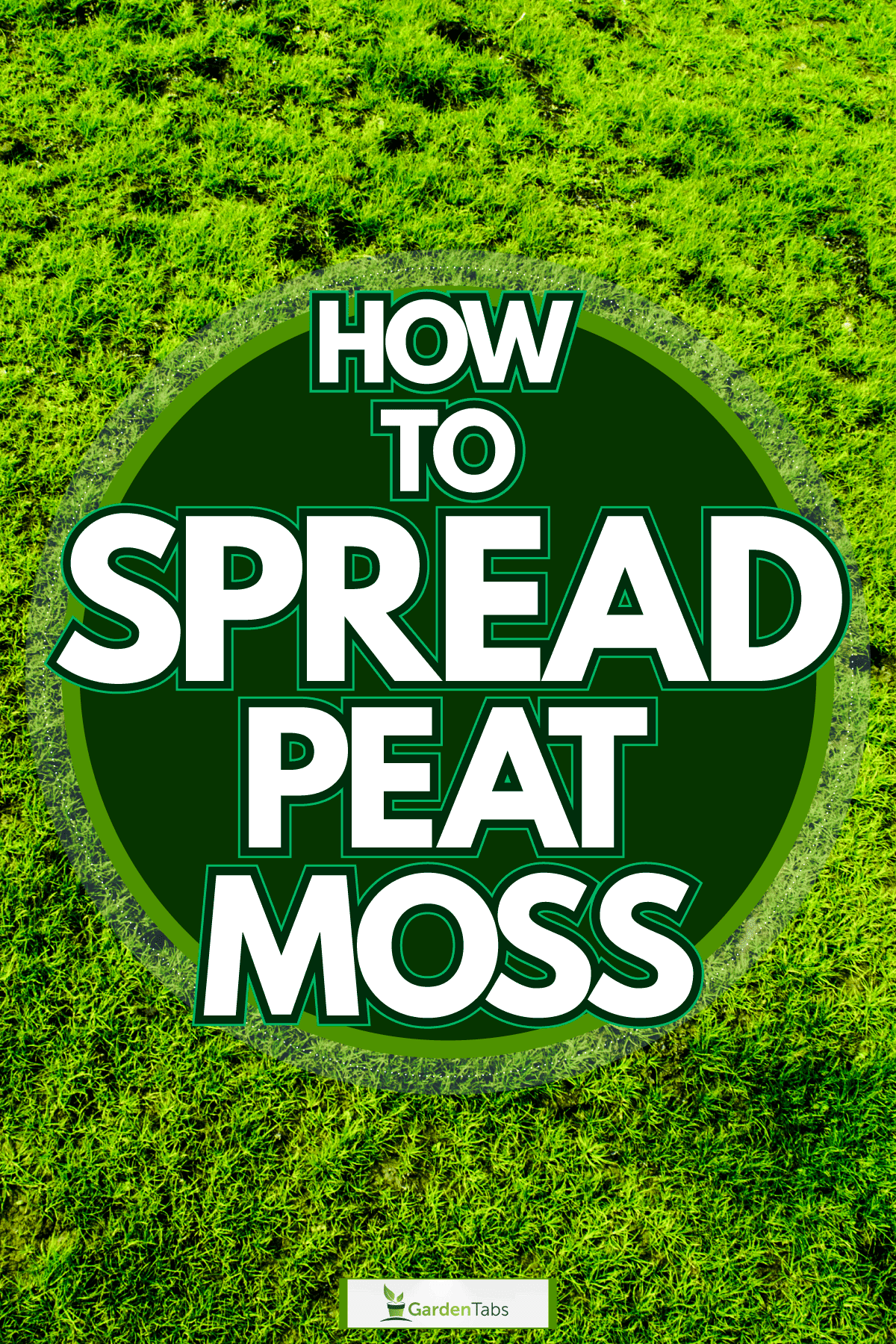 Spreading moss at the garden, How To Spread Peat Moss
