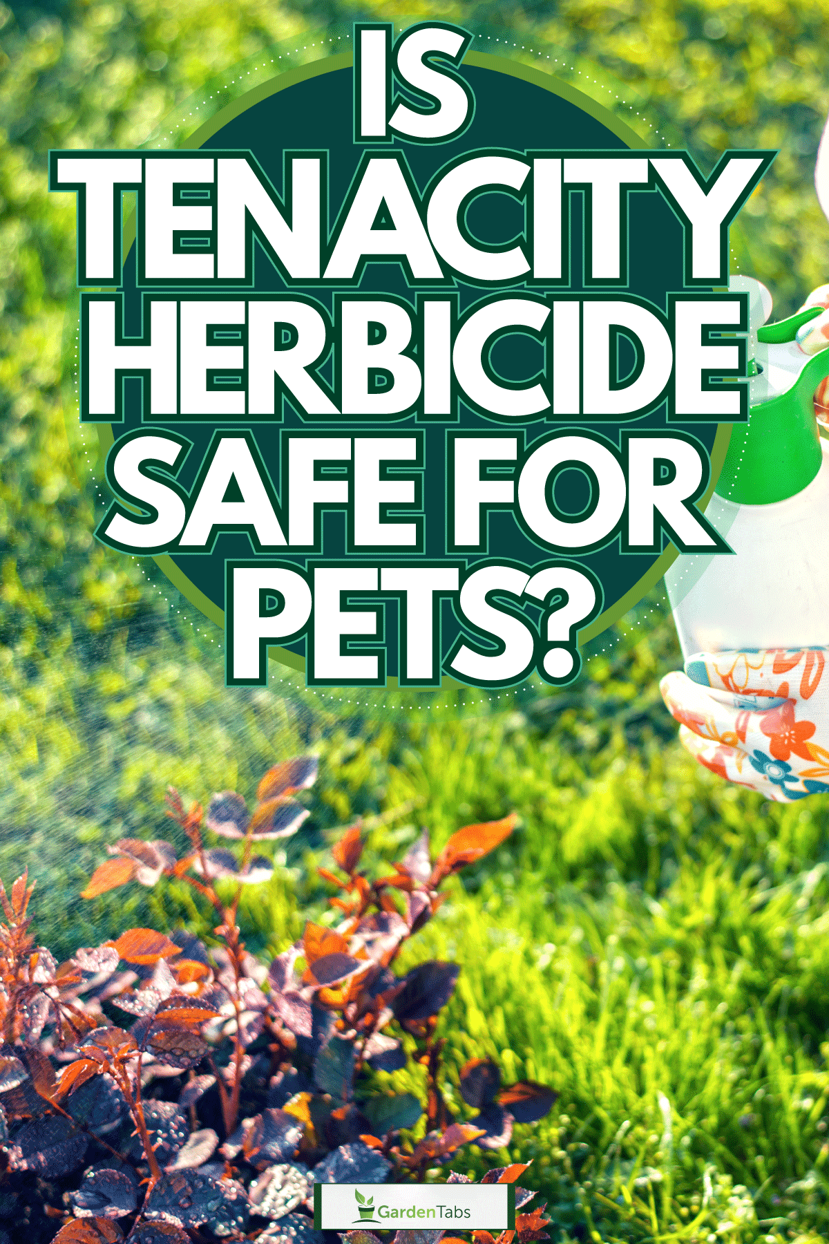 Gardener spraying herbicide on the plants, Is Tenacity Herbicide Safe For Pets?